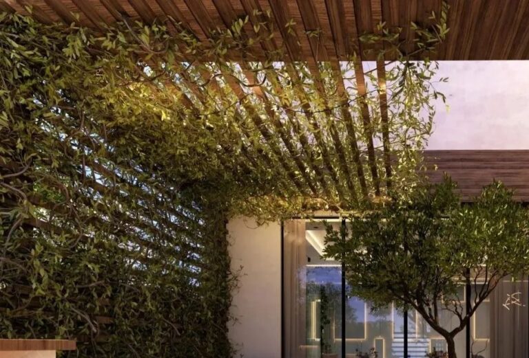 العشب الجدارى  شركة زهرة البستان